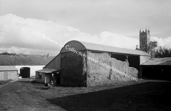 ST MARYS ABBEY (CISTERCIAN NUNS)  FARM YARD  BROTHER LUKE O'CIST AND HIS COLLIES